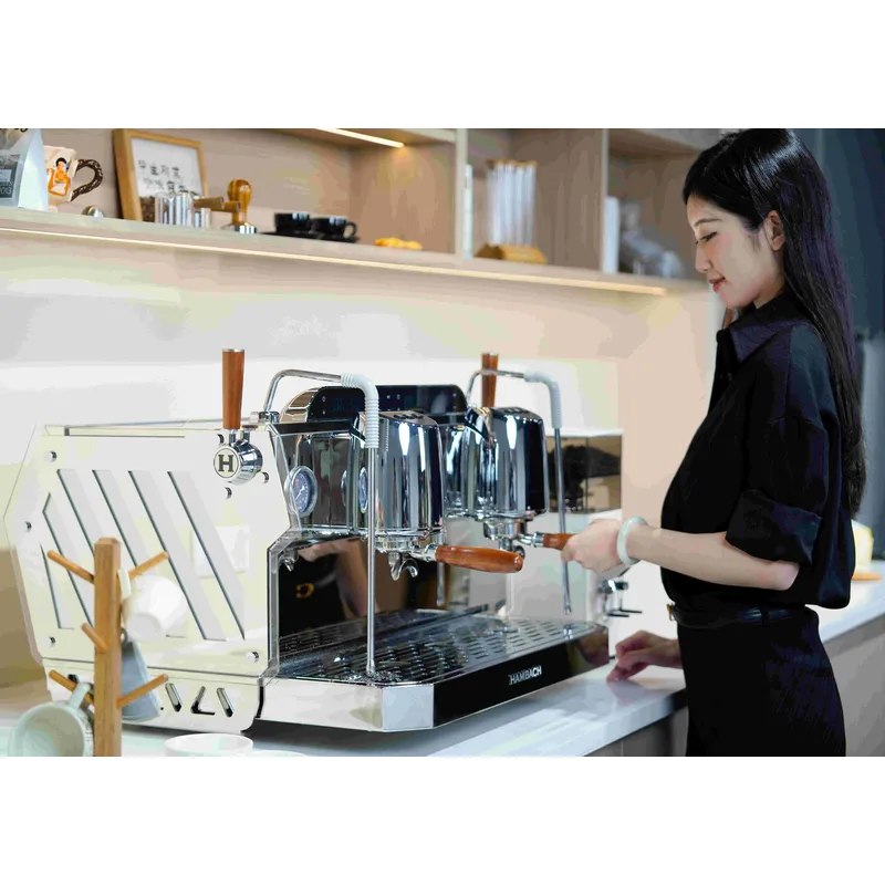 Mesin Kopi Espresso 2 Grup unt - Commercial Espresso Machine 2 Group ulasan dan harga